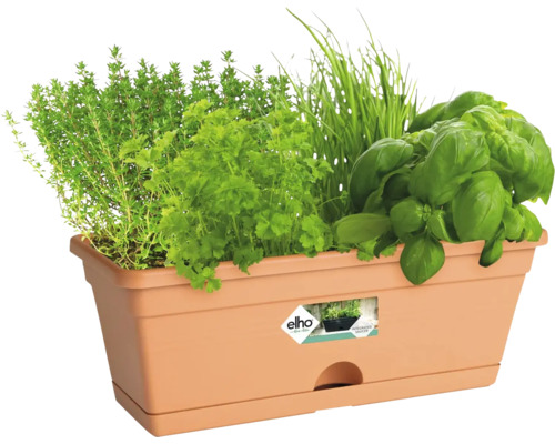 Rechteckiger Pflanzkasten mit Kräutern wie Thymian, Petersilie, Schnittlauch und Basilikum.