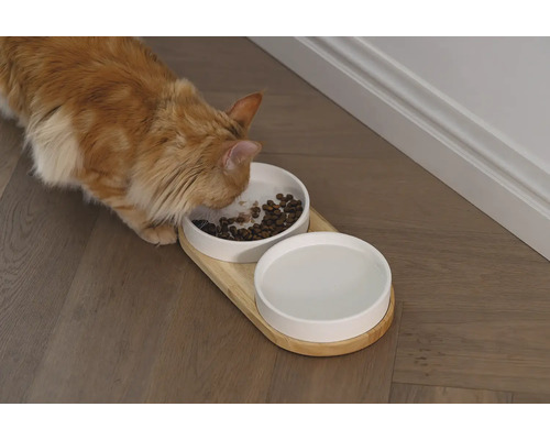 Katze frisst aus einem Doppelnapf auf einem Holztablett
