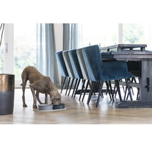 Ein Weimaraner trinkt aus einem Hundenapf in einem Esszimmer mit Esstisch und Stühlen.