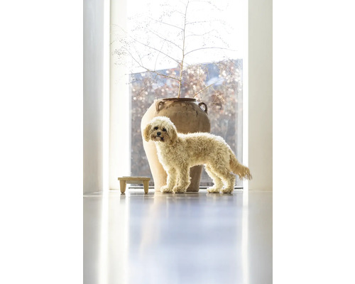 Dekorative Bodenvase aus Keramik mit Ästen neben einem Hund und einem kleinen Hocker.