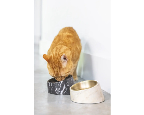 "Eine Katze frisst aus einem erhöhten Futternapf mit Marmoroptik