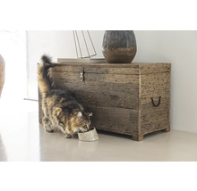 Truhe aus Altholz mit Dekorationsgegenständen und einer Katze, die frisst
