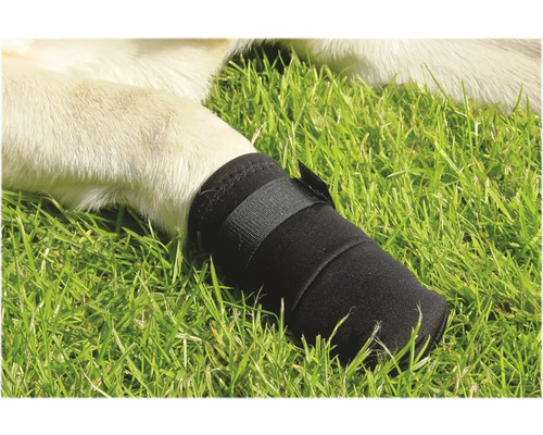 Hundepfotenbandage auf Gras