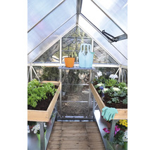 Innenansicht eines Gewächshauses mit Pflanzen und Gartengeräten