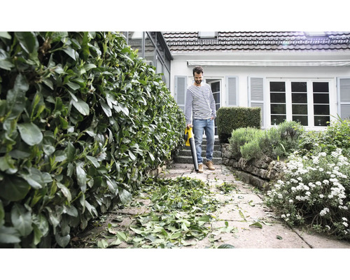 Ein Mann benutzt einen Laubbläser, um einen gepflasterten Weg von Blättern zu befreien, neben einer geschnittenen Hecke und einem Haus.