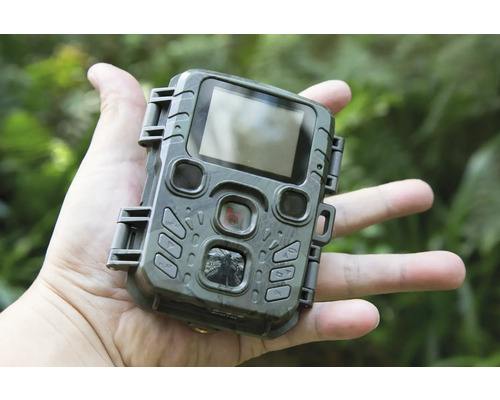 Wildkamera in der Hand