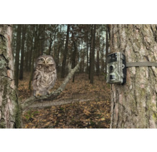 Wildtierkamera Technaxx Wildcam TX-256 Batteriebetriebene Überwachungskamera für Innen- und Aussenbereich, ca. 13,6 x 10 x 6,4 cm, Full HD