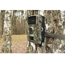Wildtierkamera Technaxx Wildcam TX-256 Batteriebetriebene Überwachungskamera für Innen- und Aussenbereich, ca. 13,6 x 10 x 6,4 cm, Full HD