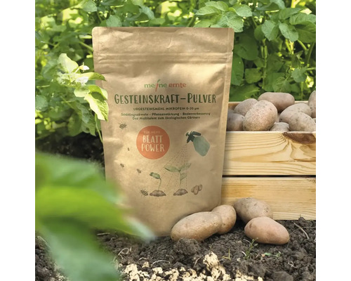Packung Gesteinskraft-Pulver von Meine Ernte neben Kartoffeln und einer Holzkiste