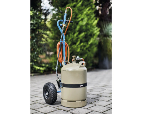 CFH Gasflaschenwagen mit Gasbrenner und Gasflasche