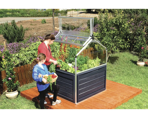 Hochbeet mit Aufsatz und zwei Personen bei der Ernte von Gemüse im Garten.