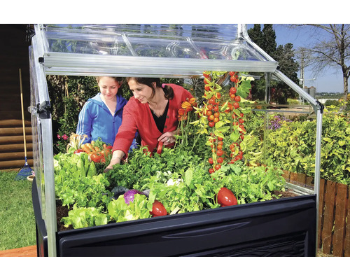Hochbeet mit Gemüse und zwei Personen im Garten