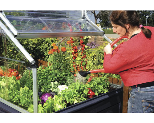 Eine Frau gießt Gemüse und Blumen in einem Frühbeet mit einer Gießkanne.