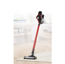 Akkusauger in einem hellen Wohnzimmer auf einem Teppich