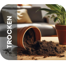 Trockene Blumenerde in einem Blumentopf auf einem Tisch