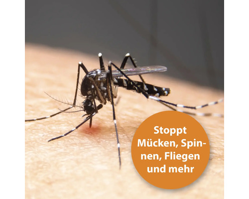 Stechmücke saugt Blut