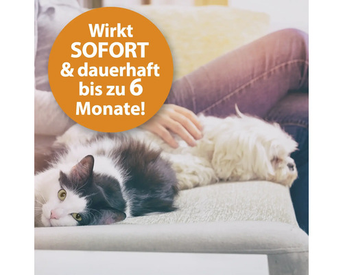 Katze und Hund liegen entspannt auf einem Sofa. Wirkt sofort und dauerhaft bis zu sechs Monate.