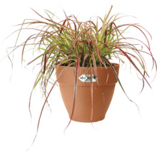 Blumentopf Elho Vibia Campana Kunststoff 39 x 39 x 33,4 cm braun