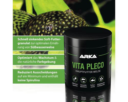 Arka Vita Pleco Hauptfutter Welse Dose mit Wels im Hintergrund