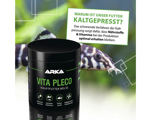 Arka Vita Pleco Hauptfutter Welse Dose vor einem Aquarium mit Welsen