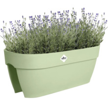 Blumenkasten mit Lavendelpflanzen und Elho Logo