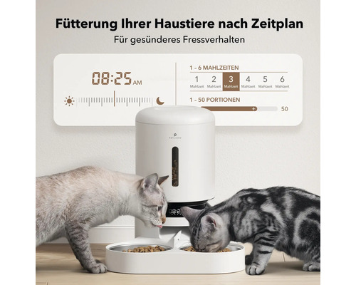 Automatischer Futterautomat mit zwei Katzen beim Fressen