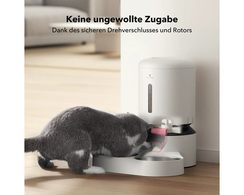 Automatische Futterstation für Katzen mit Katze beim Fressen