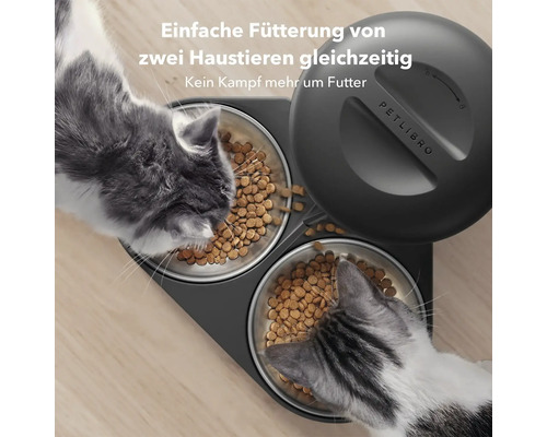 Zwei Katzen fressen gleichzeitig aus einem automatischen Futterautomaten mit zwei Näpfen von Petlibro.