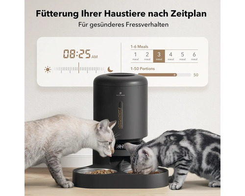 Automatischer Futterautomat für Haustiere mit zwei Katzen beim Fressen