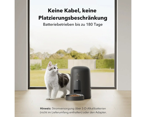Katze neben einem automatischen Futterautomaten für Haustiere von Petlibro