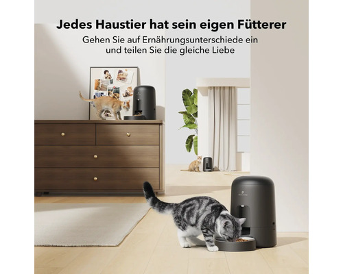 Mehrere Katzen fressen aus dem Petlibro Futterautomaten in einem hellen Raum.