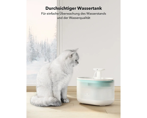 Katze neben einem Haustierbrunnen mit klarem Wasserbehälter