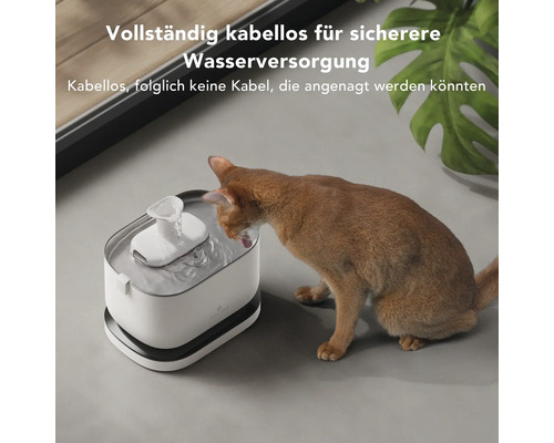 Katze trinkt aus einem kabellosen Trinkbrunnen für Haustiere