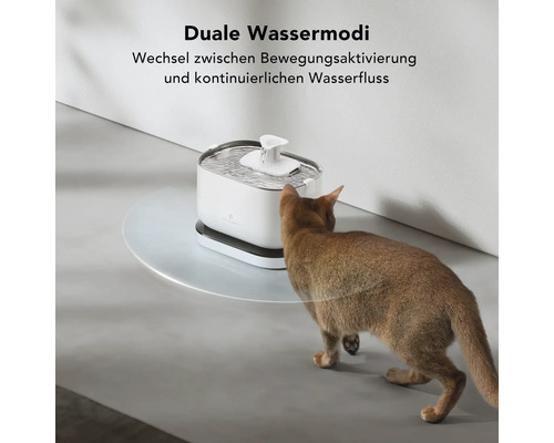 Katze trinkt aus einem automatischen Trinkbrunnen für Haustiere