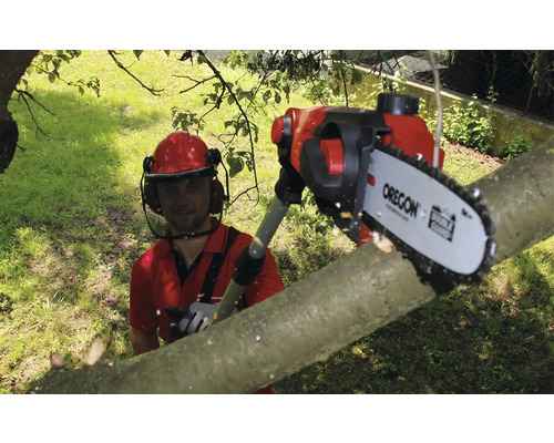 Mann mit Schutzhelm schneidet Ast mit Hochentaster