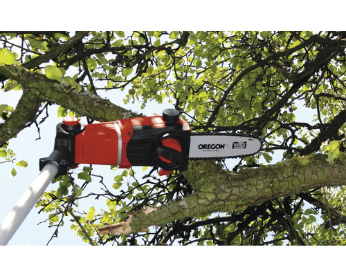 Stangensäge schneidet Ast mit Blättern