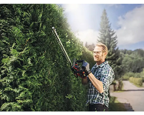 Mann schneidet Hecke mit Heckenschere im Garten.
