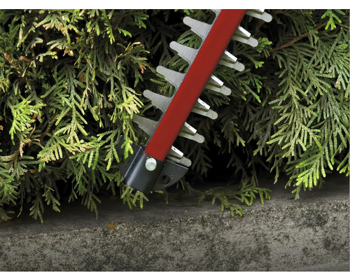 Heckenschere schneidet eine Hecke