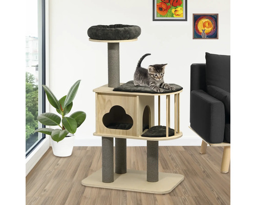 Katzenkratzbaum mit Liegeflächen und Katzenhaus mit Katzenjungem