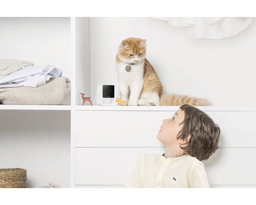 Innenraum mit Überwachungskamera, Katze und Kind