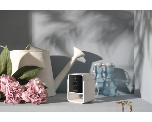 Petcube Sicherheitskamera mit Gießkanne und Flaschen auf einem Regal