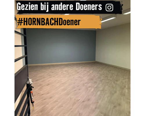 Heller Raum mit Laminatboden und farblich abgesetzter Wand