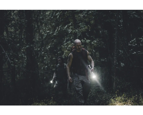 Zwei Personen wandern nachts mit Taschenlampen durch einen Wald.