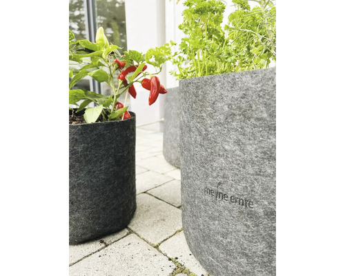 Pflanzgefäße aus Filz mit Kräutern und Chili auf einer Terrasse.