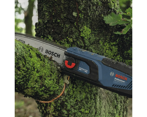 Bosch Logo. Bosch Akku-Kettensäge beim Beschneiden eines von Moos bedeckten Astes.