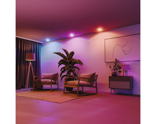 Wohnzimmer mit zwei Stühlen, Stehlampe, Zimmerpflanze und Deckenleuchten