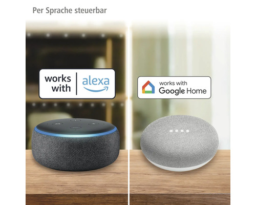 Sprachsteuerbare Lautsprecher kompatibel mit Alexa und Google Home.