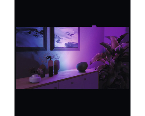 Wohnzimmer mit Kommode, Dekoration und Zimmerpflanze unter farbiger Beleuchtung