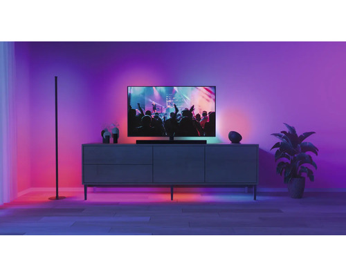 Wohnzimmer mit Fernseher, Sideboard, Stehleuchte und Zimmerpflanze unter farbiger Beleuchtung