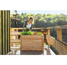 Hochbeet klassisch WESTMANN Klassic 100 x 65 x 66 cm natur